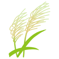 サトウキビの花