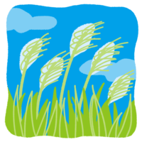 花咲くサトウキビ畑