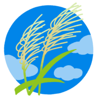 サトウキビの花（背景あり）