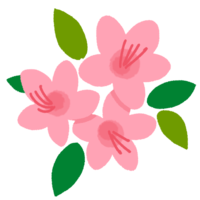 ピンクのツツジの花