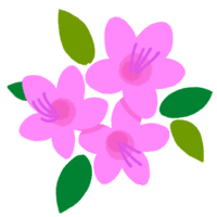 紫のツツジの花