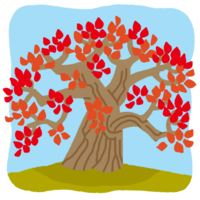 デイゴの木（背景あり）