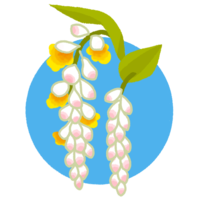 月桃（ゲットウ）の花・2（背景あり）