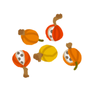 月桃（ゲットウ）の実・2