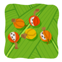 月桃（ゲットウ）の実・2（背景あり）