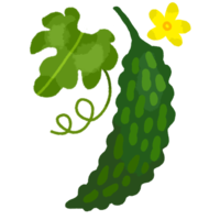 ゴーヤーと花と葉