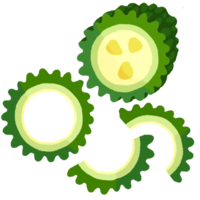 ゴーヤーの輪切り