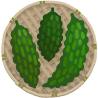 ザルにのったゴーヤー