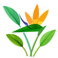 ストレチア（極楽鳥花）