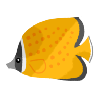 チョウチョウウオ