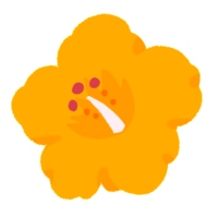 ハイビスカスA（黄色）