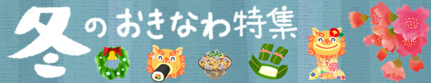 冬のおきなわ特集