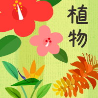 植物